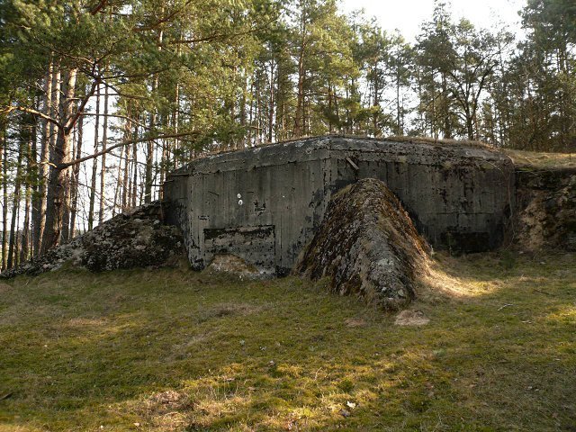 photo7.jpg