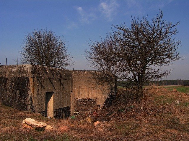 photo9.jpg