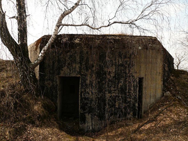 photo5.jpg