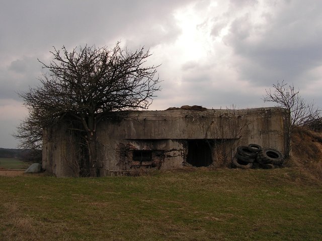 photo4.jpg
