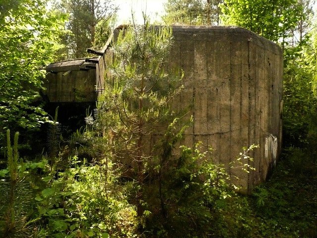 photo11.jpg
