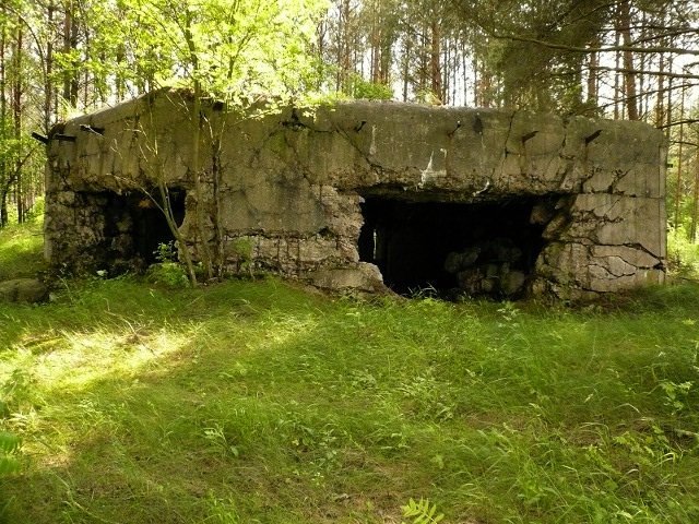 photo13.jpg
