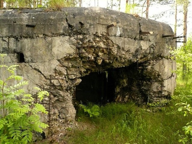photo14.jpg