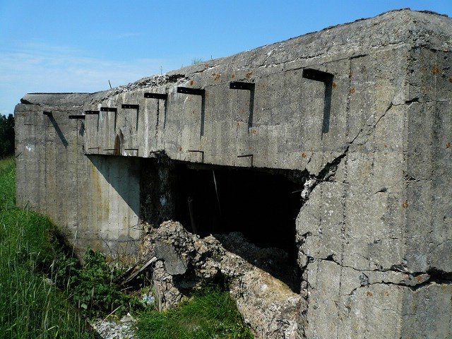 photo16.jpg