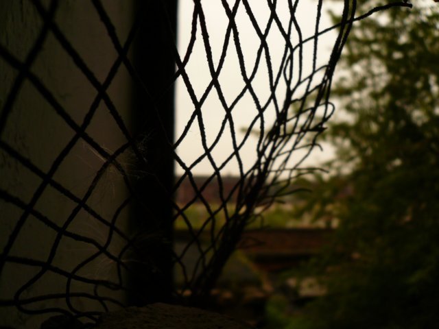 photo5.jpg