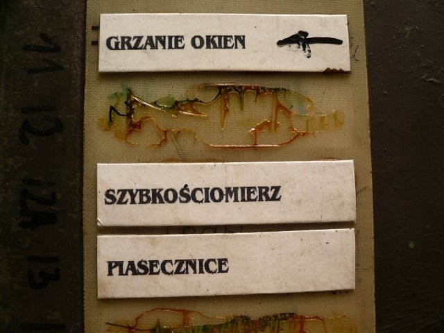 photo6.jpg