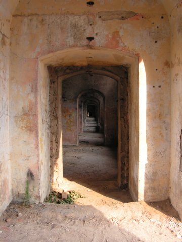 photo4.jpg