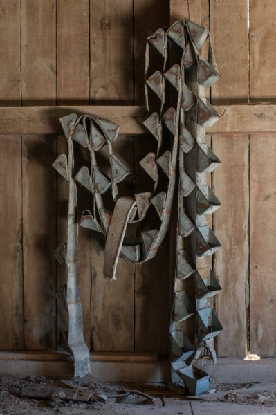 photo7.jpg