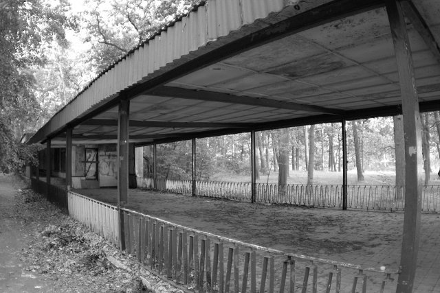 photo7.jpg