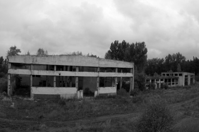 photo9.jpg