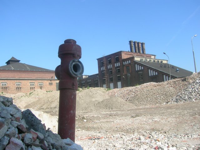 photo19.jpg