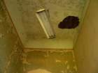 photo5_small.jpg
