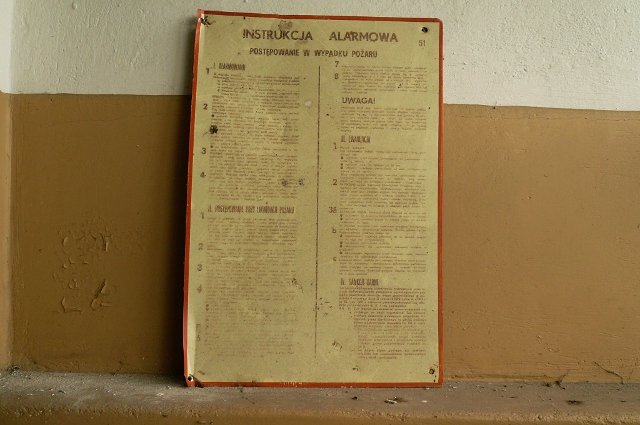 photo6.jpg