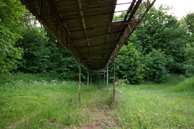 photo3.jpg