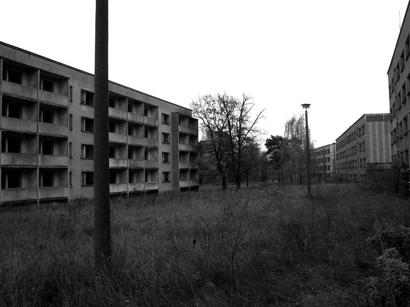 photo3.jpg