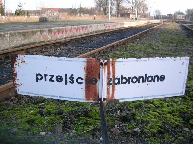 photo10.jpg