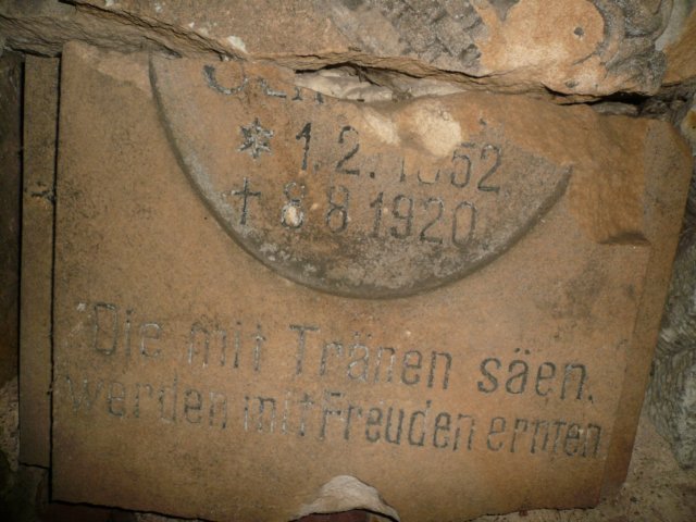 photo6.jpg