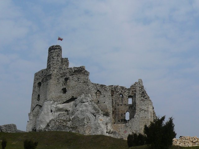 photo8.jpg