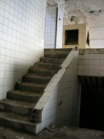 photo6.jpg