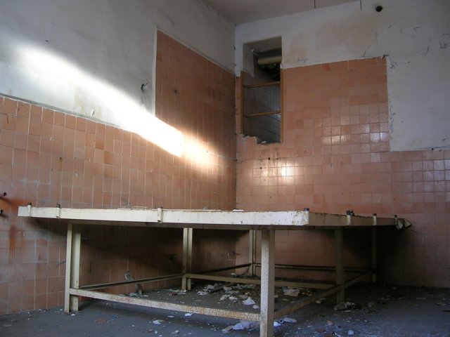 photo8.jpg