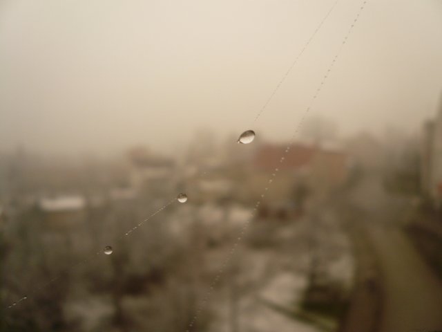 photo2.jpg