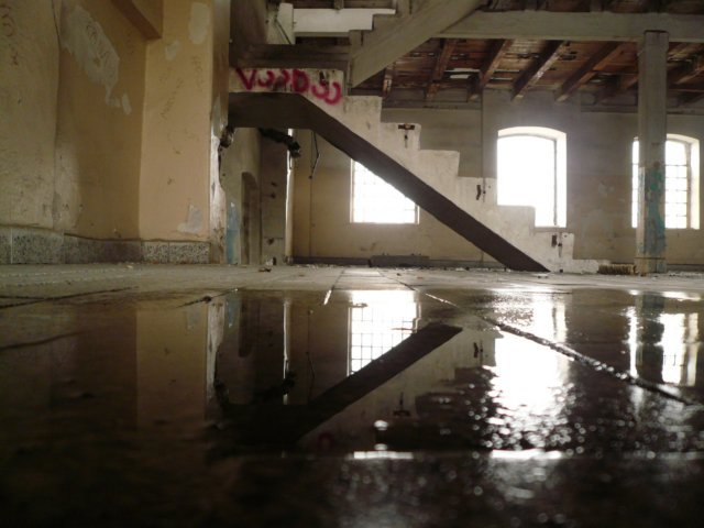 photo7.jpg