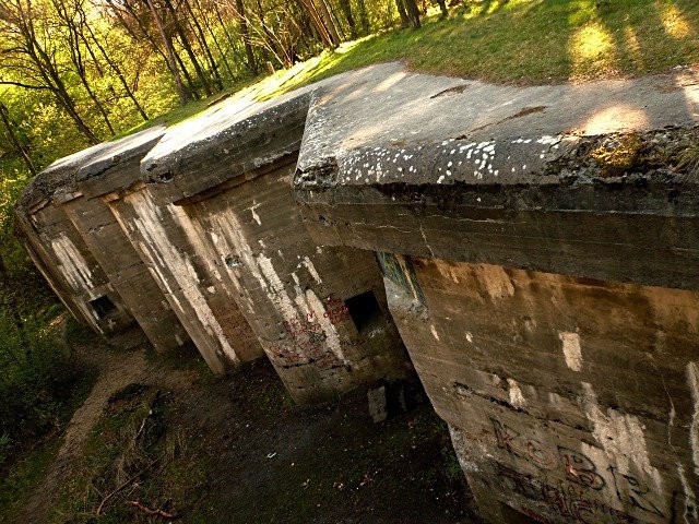photo4.jpg