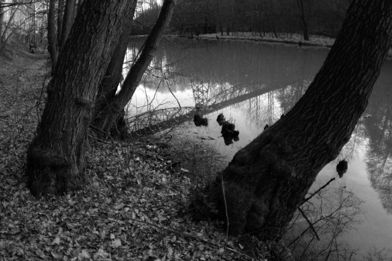 photo.jpg