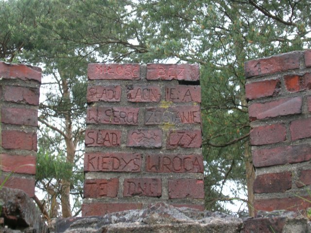 photo4.jpg