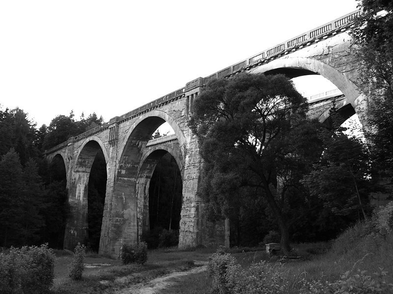 photo.jpg