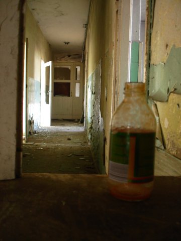 photo14.jpg