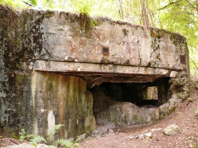 photo3.jpg