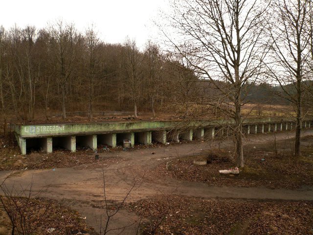 photo10.jpg