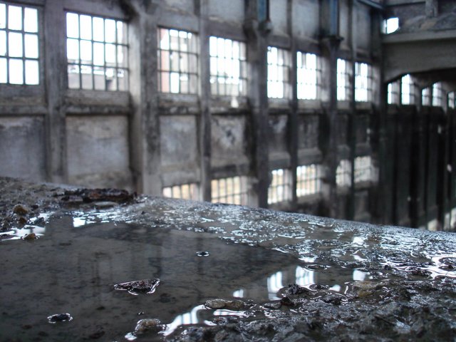 photo4.jpg