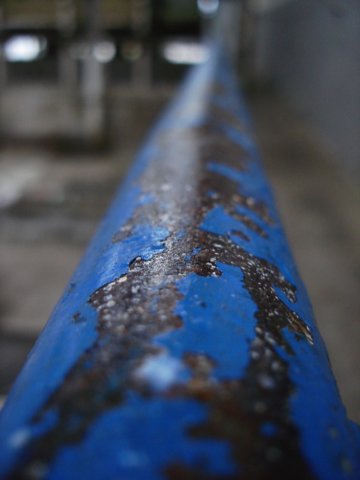 photo14.jpg