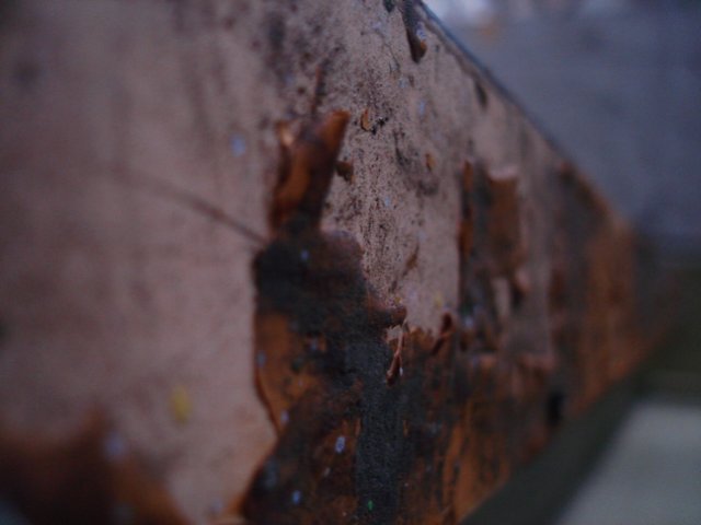photo20.jpg