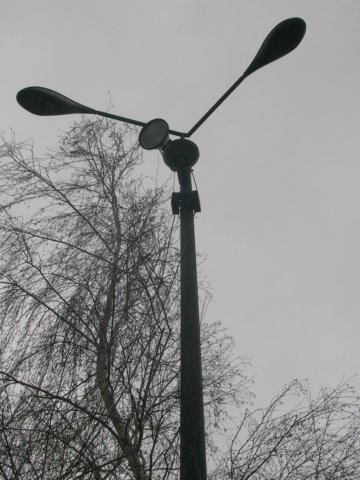 photo43.jpg