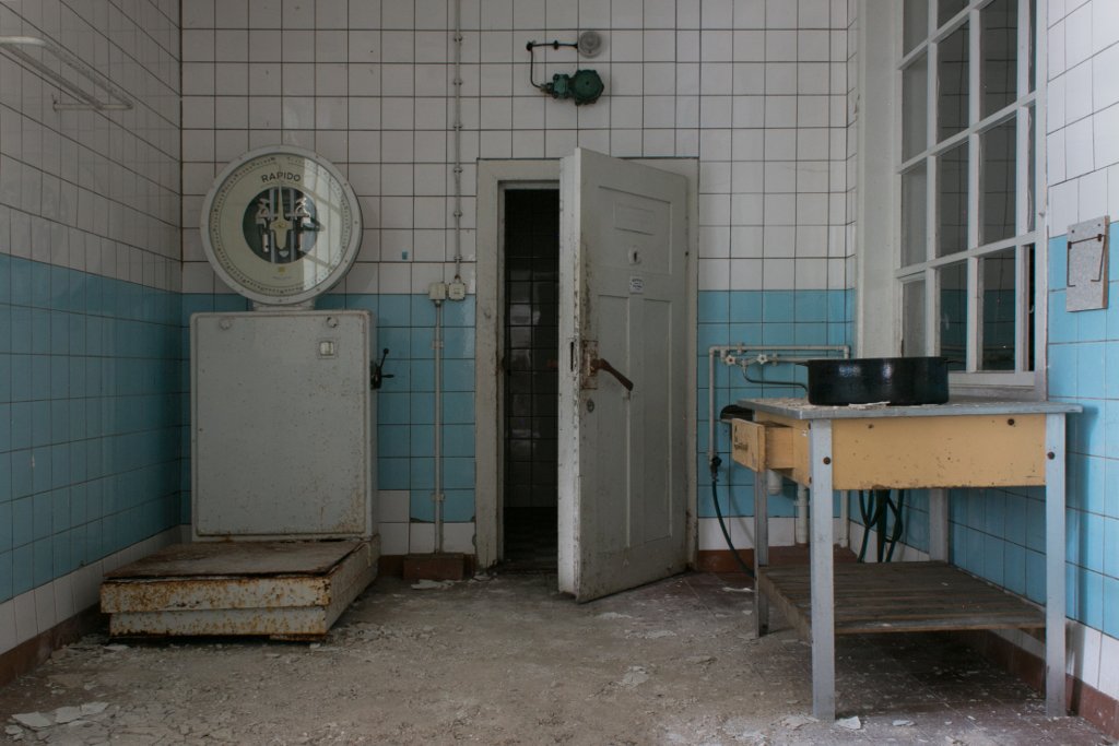 photo11.jpg