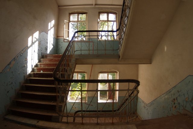 photo9.jpg