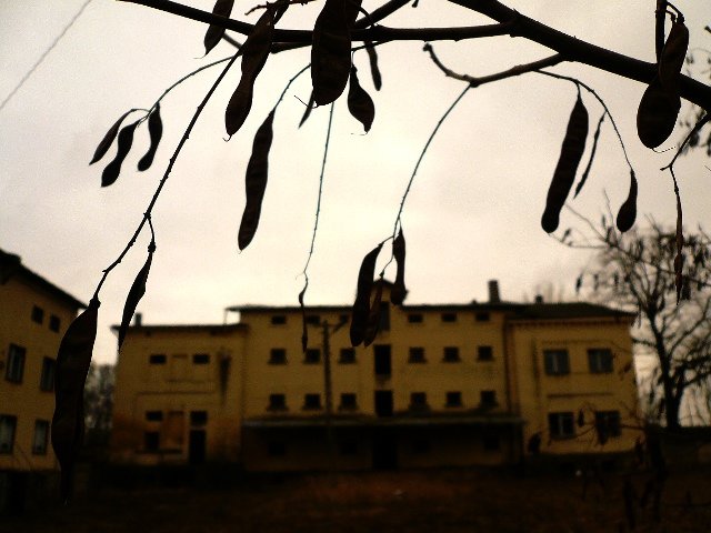photo20.jpg