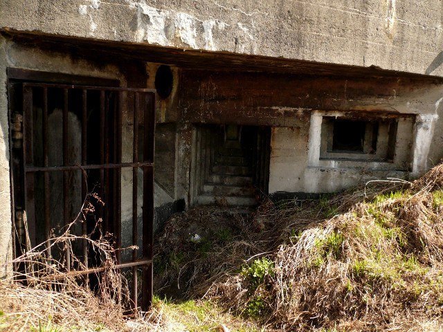 photo12.jpg