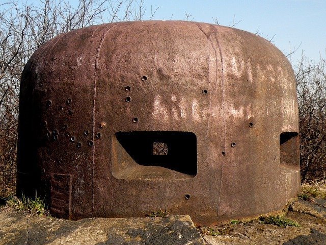 photo3.jpg