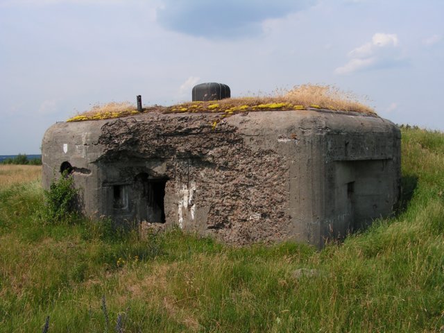 photo3.jpg