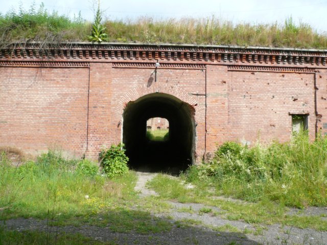 photo9.jpg