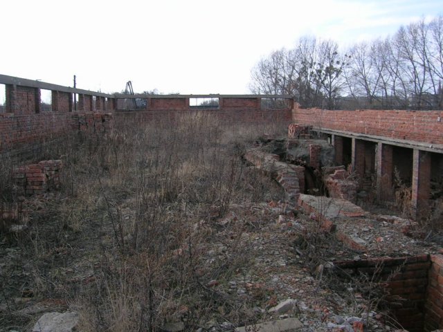 photo10.jpg