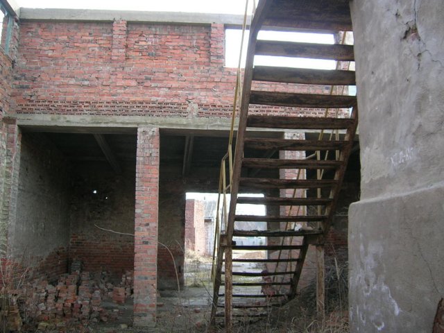 photo8.jpg