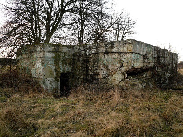 photo9.jpg