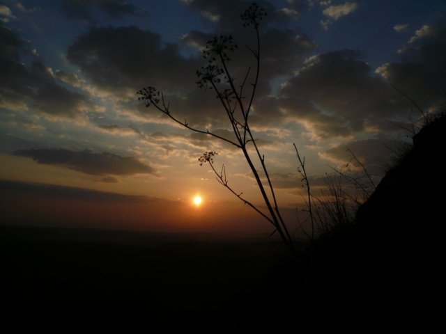 photo2.jpg