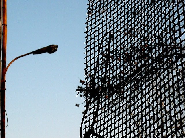 photo20.jpg