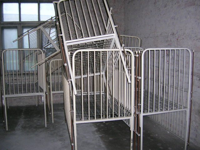 photo5.jpg